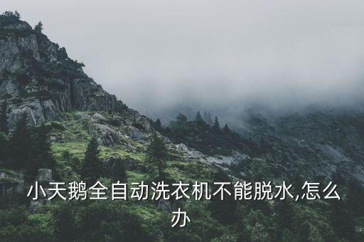 無錫小天鵝股份有限公司2011年年報,江蘇無錫小天鵝股份有限公司