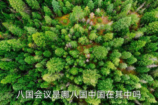 八國會議是哪八國中國在其中嗎