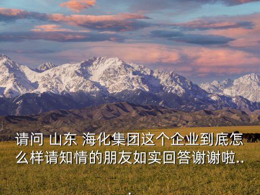 請問 山東 ?；瘓F(tuán)這個企業(yè)到底怎么樣請知情的朋友如實(shí)回答謝謝啦...