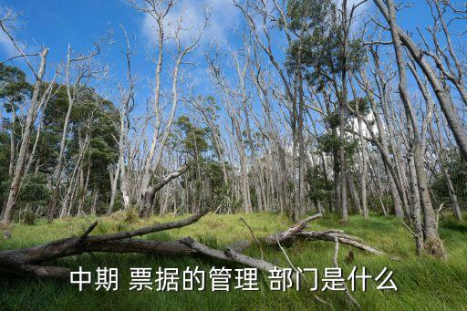 銀行票據融資業(yè)務在那個部門