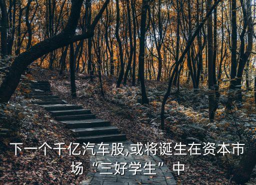 下一個(gè)千億汽車股,或?qū)⒄Q生在資本市場“三好學(xué)生”中
