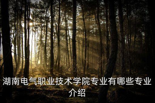 湖南電氣職業(yè)技術學院專業(yè)有哪些專業(yè)介紹