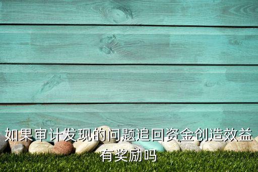 如果審計發(fā)現(xiàn)的問題追回資金創(chuàng)造效益有獎勵嗎