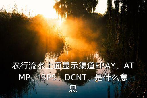 農行流水上面顯示渠道EPAY、ATMP、IBPS、DCNT、是什么意思