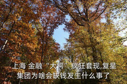  上海 金融“大鱷”瘋狂套現(xiàn),復(fù)星集團(tuán)為啥會(huì)缺錢發(fā)生什么事了