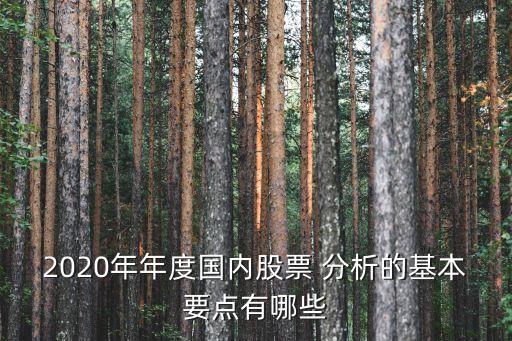 2020年年度國內股票 分析的基本要點有哪些