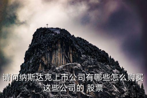 請問納斯達(dá)克上市公司有哪些怎么購買這些公司的 股票