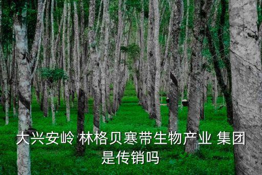林格貝集團(tuán)問(wèn)題,大興安嶺林格貝集團(tuán)