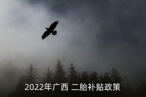 2022年廣西 二胎補(bǔ)貼政策