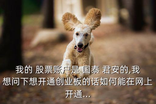 我的 股票賬戶是 國泰 君安的,我想問下想開通創(chuàng)業(yè)板的話如何能在網上開通...