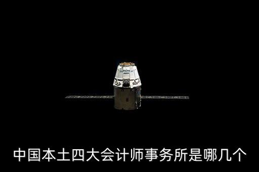 中國本土四大會(huì)計(jì)師事務(wù)所是哪幾個(gè)