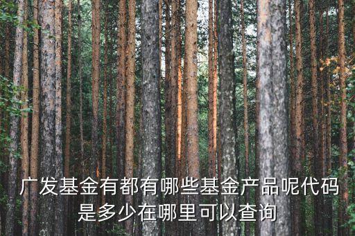  廣發(fā)基金有都有哪些基金產(chǎn)品呢代碼是多少在哪里可以查詢(xún)