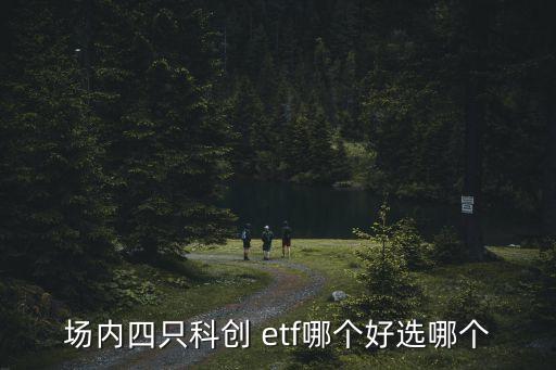 易方達(dá)基金正反向杠桿etf基金