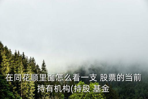 在同花順里面怎么看一支 股票的當(dāng)前持有機(jī)構(gòu)(持股 基金
