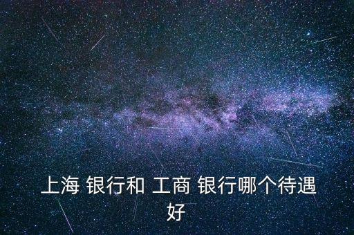  上海 銀行和 工商 銀行哪個待遇好