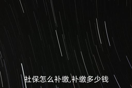 上海補(bǔ)五年的社保要多少錢(qián)