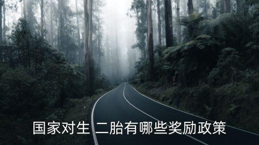 國家對生 二胎有哪些獎(jiǎng)勵(lì)政策