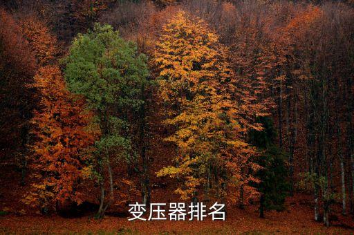 變壓器排名