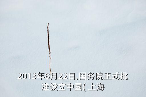 2013年8月22日,國務(wù)院正式批準(zhǔn)設(shè)立中國( 上海