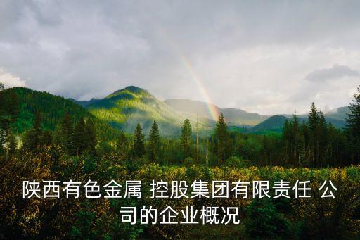 陜西有色金屬 控股集團有限責任 公司的企業(yè)概況