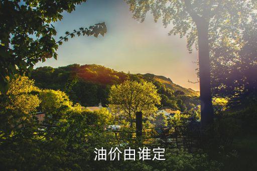  油價(jià)由誰定