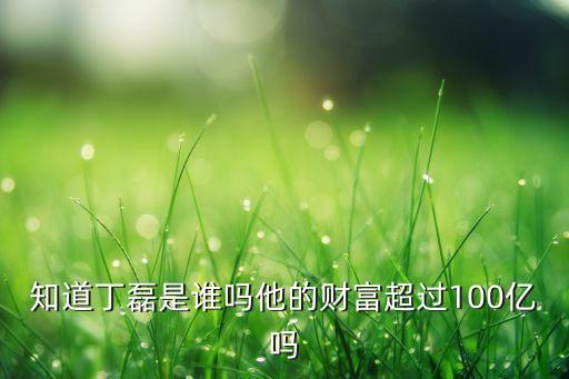 知道丁磊是誰嗎他的財(cái)富超過100億嗎