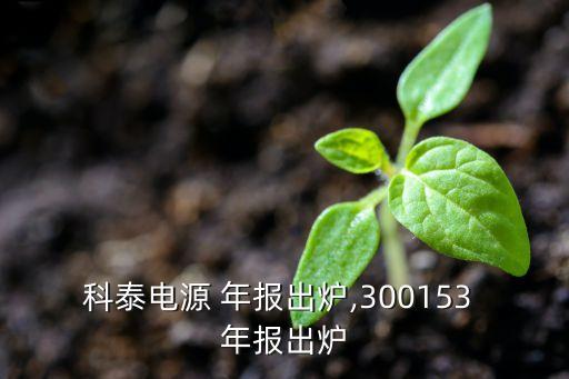 上海電氣2011年年報pdf