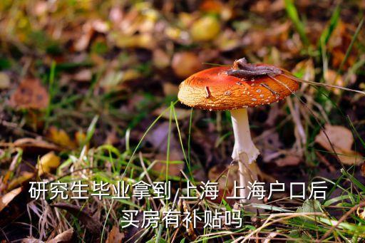 研究生畢業(yè)拿到 上海 上海戶口后 買(mǎi)房有補(bǔ)貼嗎