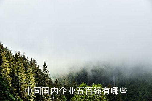 中國國內(nèi)企業(yè)五百強有哪些