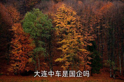 意大利安薩爾多公司網(wǎng)站