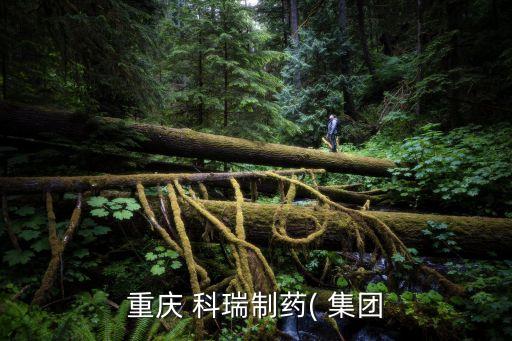 重慶 科瑞制藥( 集團