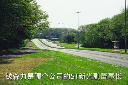 馬鞍山馬鋼比歐西氣體有限責(zé)任公司,馬鋼林德氣體有限責(zé)任公司簡介
