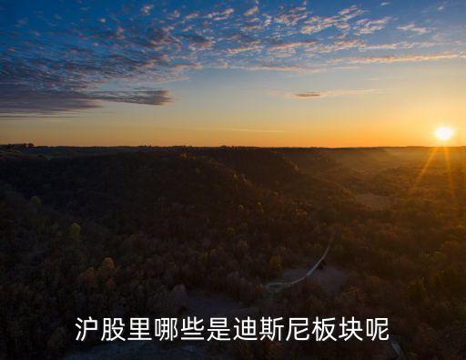 滬股里哪些是迪斯尼板塊呢
