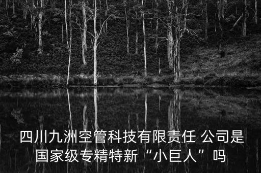  四川九洲空管科技有限責(zé)任 公司是國(guó)家級(jí)專(zhuān)精特新“小巨人”嗎