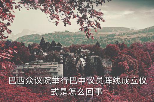 中國(guó)巴西戰(zhàn)略對(duì)話,中國(guó)和巴西是什么對(duì)話