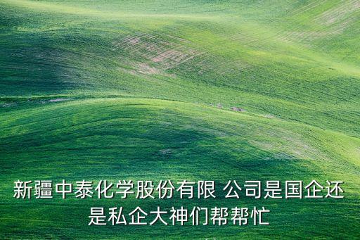 新疆中泰化學股份有限 公司是國企還是私企大神們幫幫忙