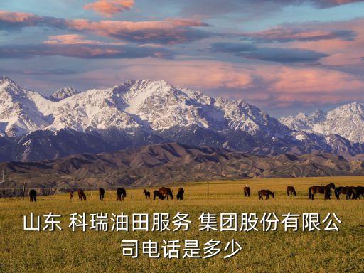 山東 科瑞油田服務 集團股份有限公司電話是多少