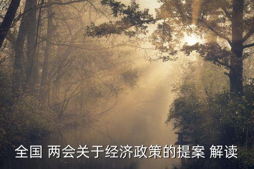 全國 兩會關于經濟政策的提案 解讀