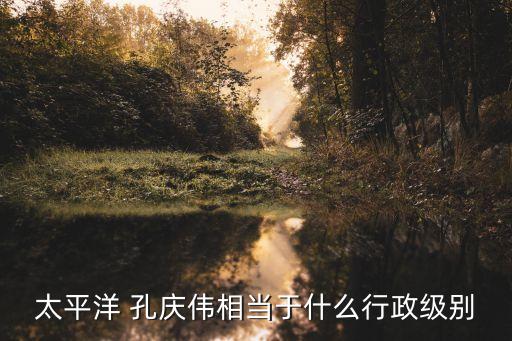 上海國資委主任孔慶偉