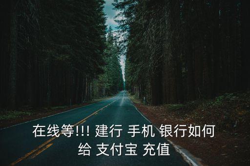 在線等!!! 建行 手機 銀行如何給 支付寶 充值