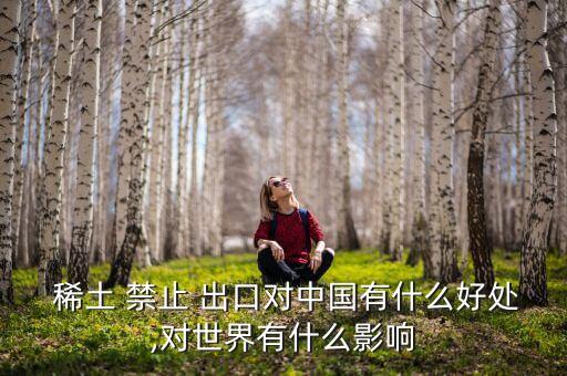  稀土 禁止 出口對中國有什么好處,對世界有什么影響