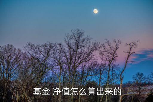  基金 凈值怎么算出來(lái)的