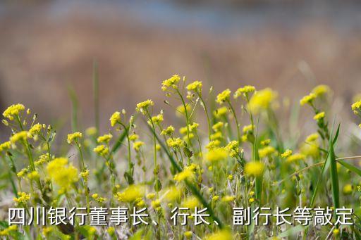 遂寧商業(yè)銀行股東大會
