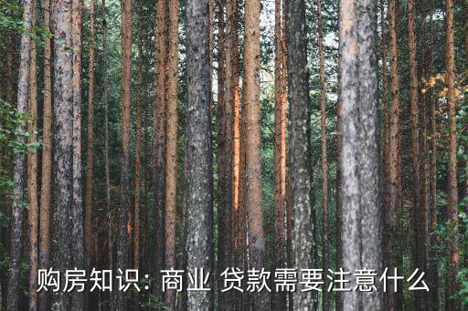 購房知識: 商業(yè) 貸款需要注意什么