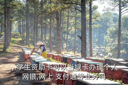 ...學(xué)生資助卡可以當(dāng)綠卡辦理個人網(wǎng)銀,網(wǎng)上 支付通等業(yè)務(wù)嗎