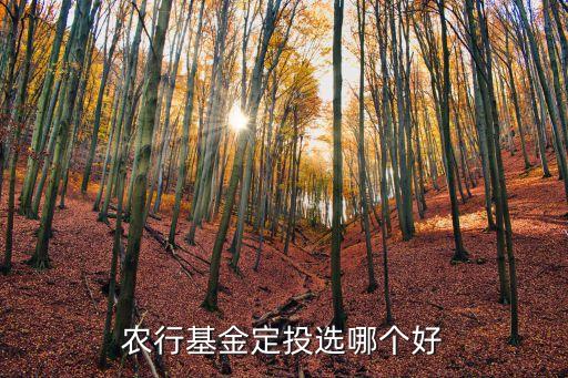 農(nóng)銀消費主題股票,農(nóng)銀新興消費股票的前景如何