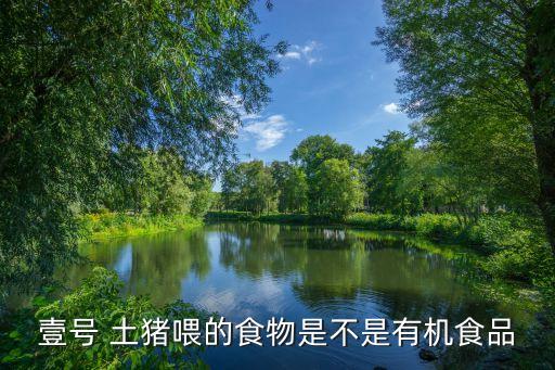 壹號 土豬喂的食物是不是有機(jī)食品