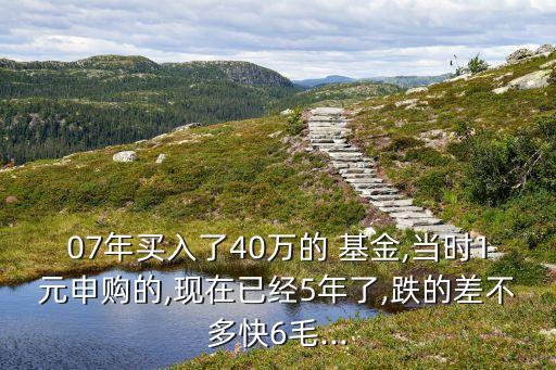 07年買入了40萬的 基金,當時1元申購的,現(xiàn)在已經(jīng)5年了,跌的差不多快6毛...