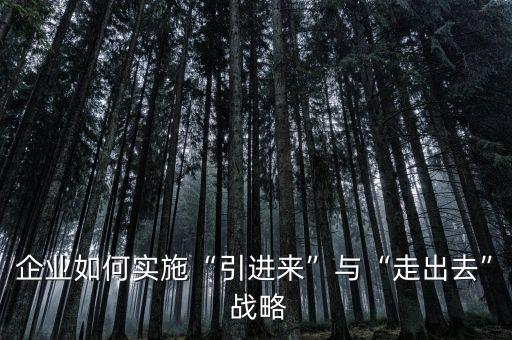 上海走出去戰(zhàn)略,中國企業(yè)走出去戰(zhàn)略的意義