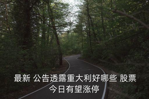 股票最新公告,st大集股票最新公告